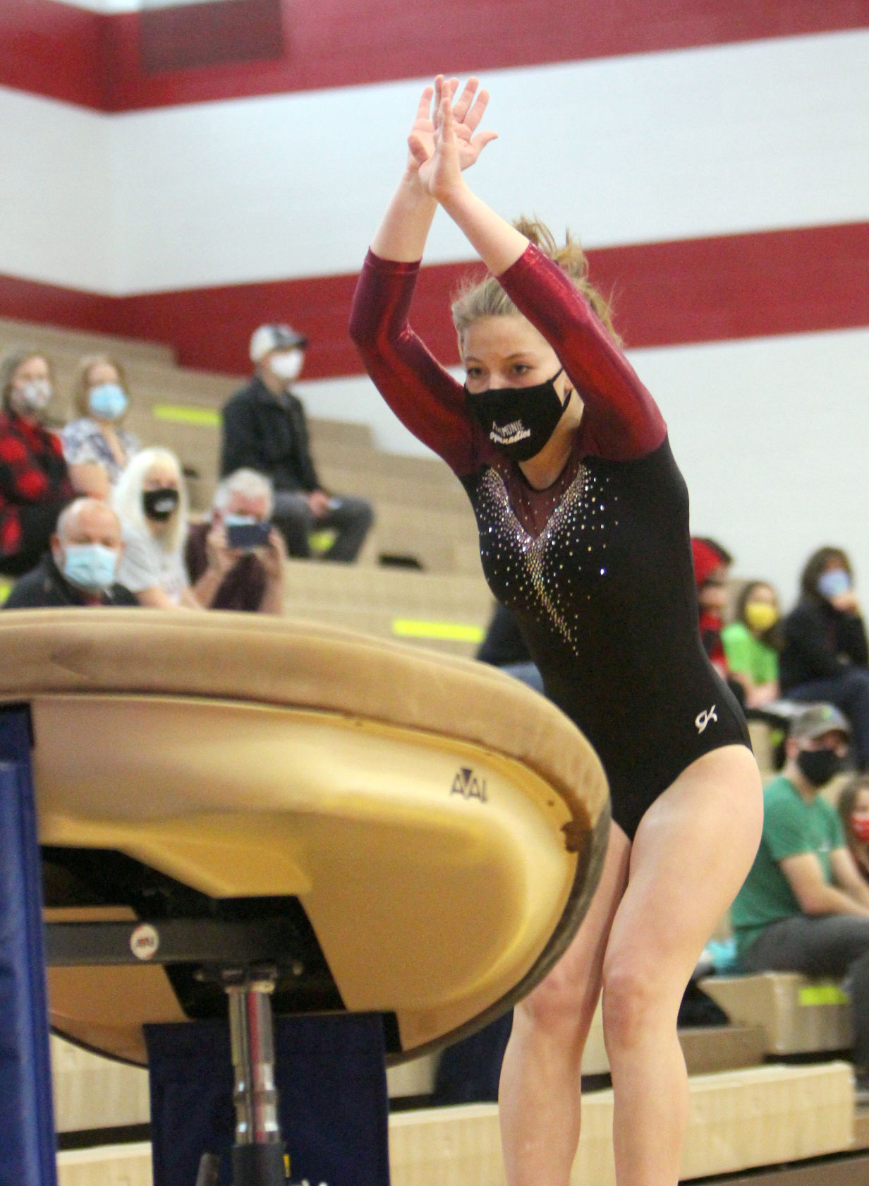 Chippewa Falls Gymnastics Triangular 1-16-21